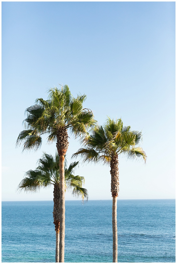 Laguna_beach_california_west_Coast_Brett_Denfeld_Photography