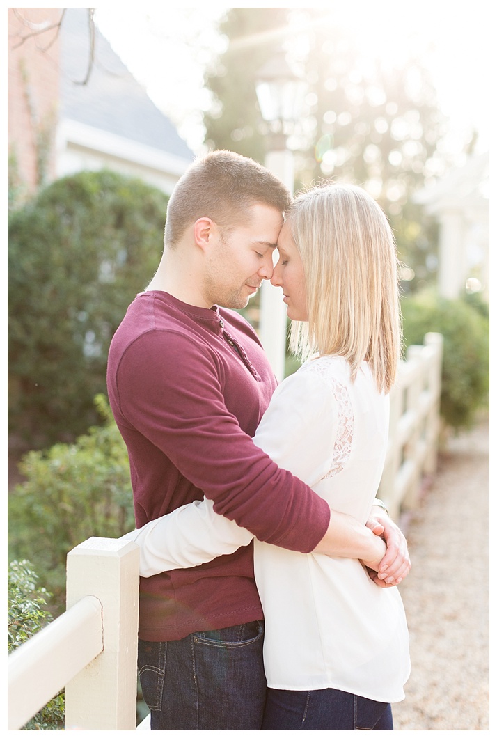 middleburg virginia fall engagement session