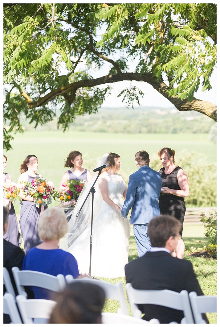 walkers-overlook-maryland-wedding-138_WEB
