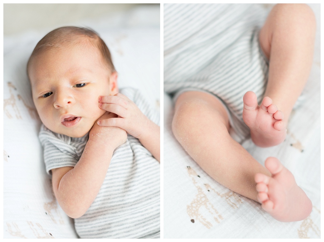 purcellville newborn family session